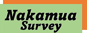 Nakamura Survey Ltd